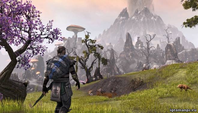 Игроки PS4-версии Elder Scrolls Online не будут оплачивать две подписки сразу