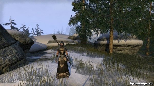 The Elder Scrolls Online — советы новичкам